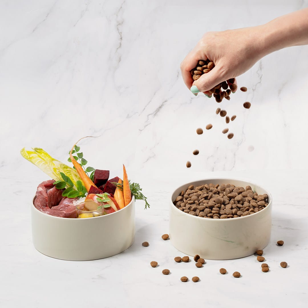 Comfy Appetit Vita Puppy Lamb Karma Sucha Dla Szczeniąt Jagnięcina 2,5kg
